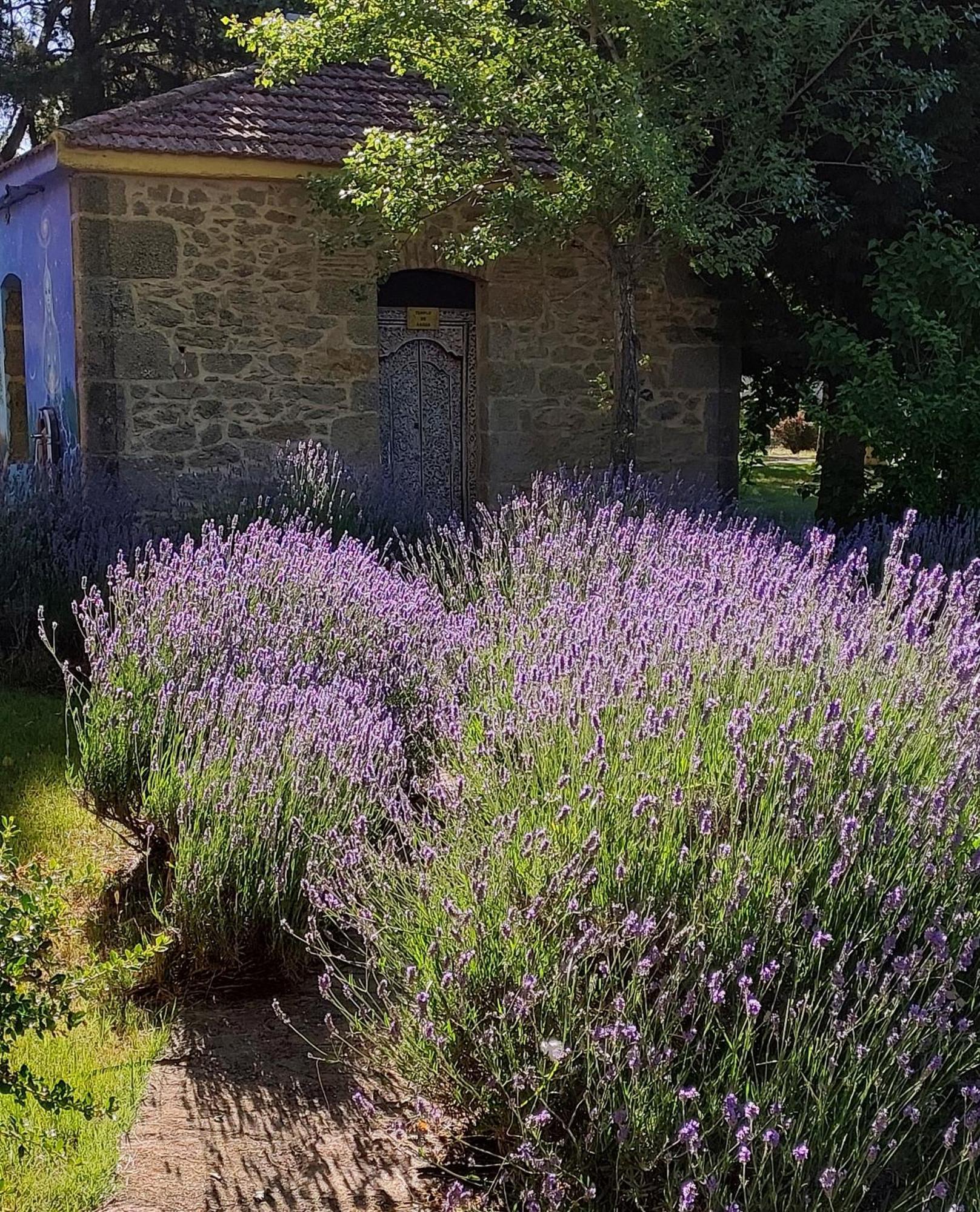 Casa Atenea Zamora Dış mekan fotoğraf